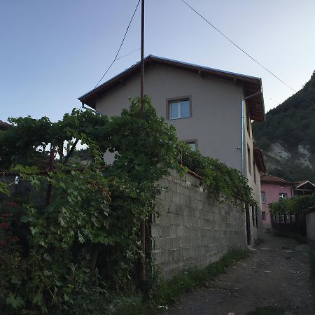 Elenite Guesthouse غوتسه دلتشو المظهر الخارجي الصورة