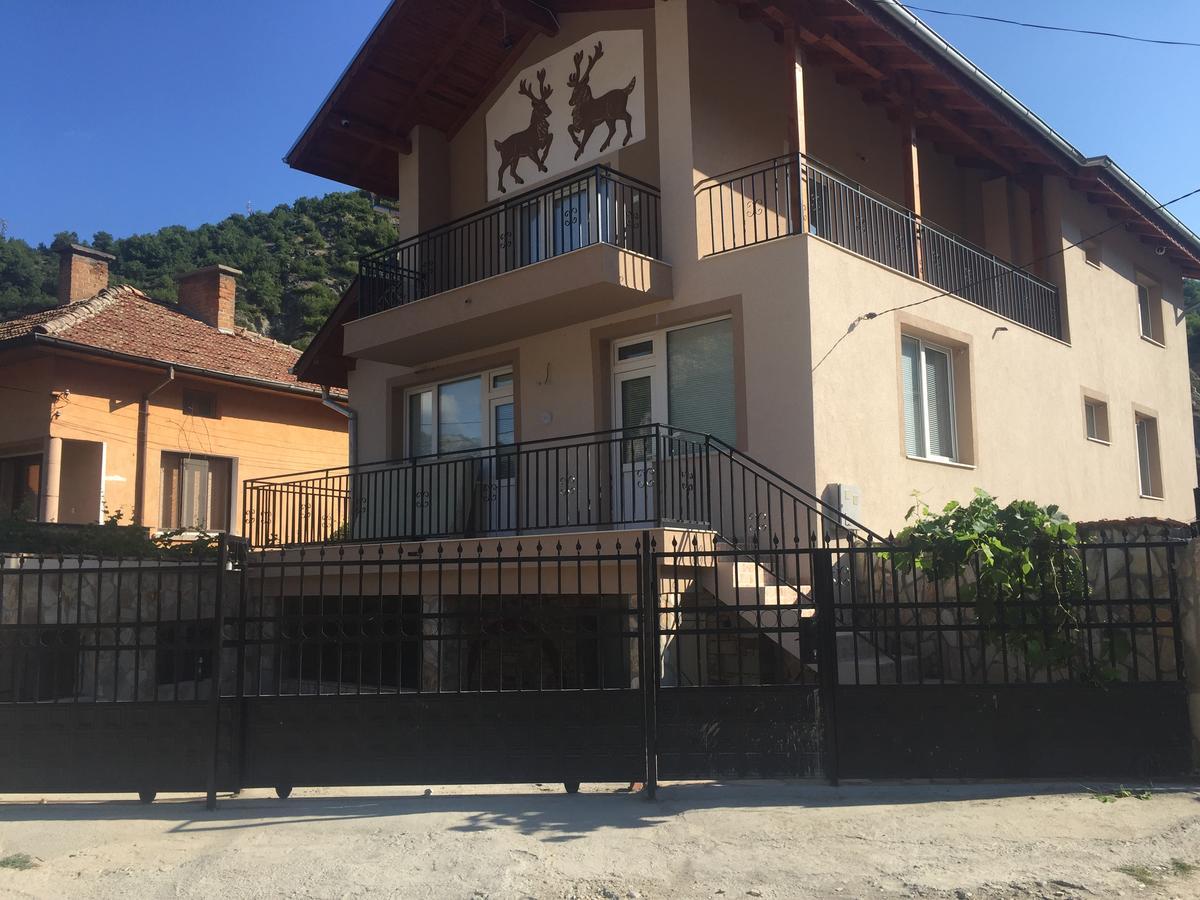 Elenite Guesthouse غوتسه دلتشو المظهر الخارجي الصورة