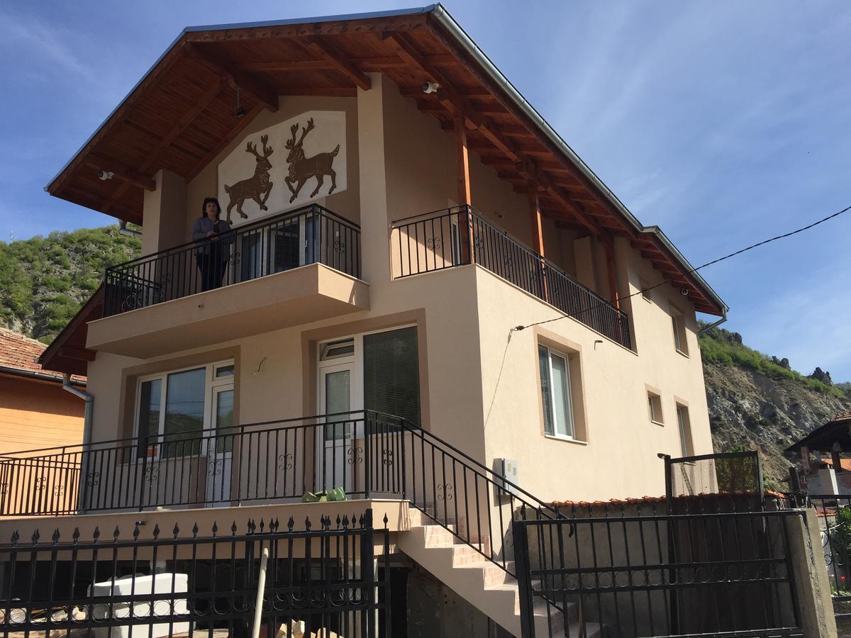 Elenite Guesthouse غوتسه دلتشو المظهر الخارجي الصورة